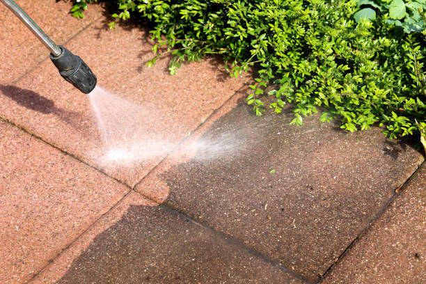 Best Residential Pressure Washing Services  in Wesley Chapel, FL